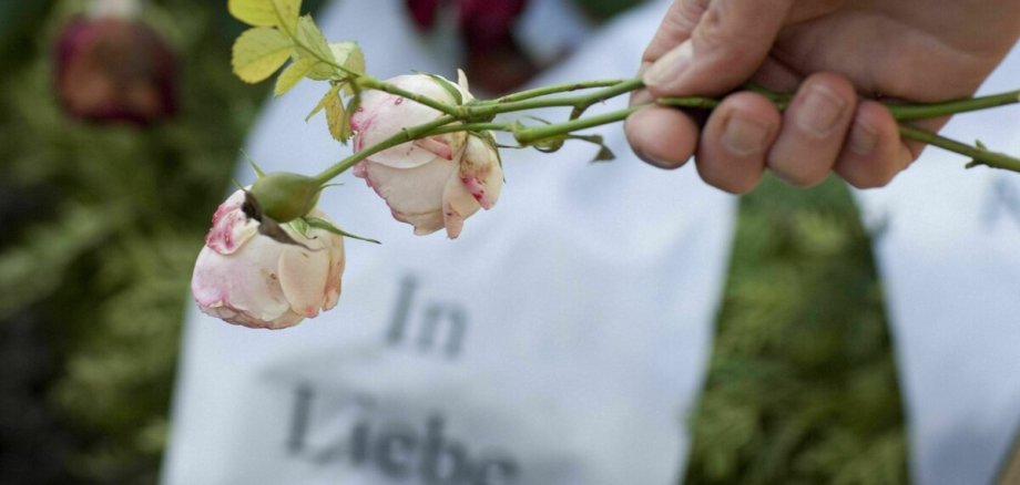 Friedhof In Liebe Bonn Deutschland 08 1 2011 Bonn Deutschland PUBLICATIONxINxGERxSUIxAUTxONLY